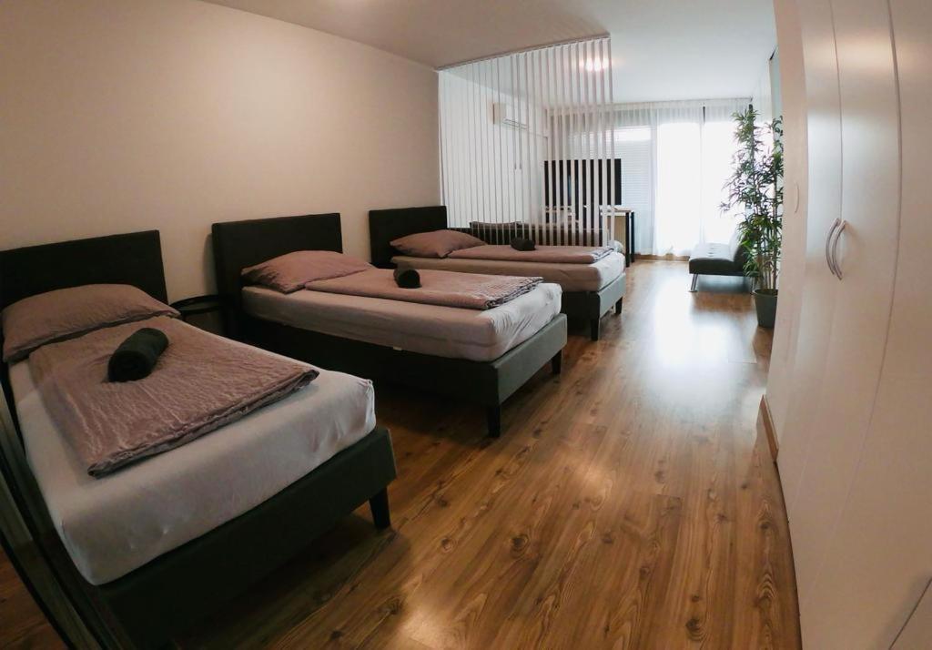 Aspern Nationalpark Apartment Wiedeń Zewnętrze zdjęcie